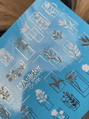Слайдер-дизайн Color and Foil 295 silver | Мінімалістичні ботанічні водні декалі для нігтів | Квіти та геометричні рамки CF_295 фото